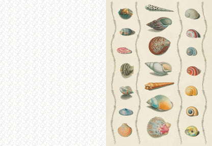 The Collage Compendium: 2,000 Images to Cut Out & Collage