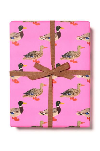 Quacky Birthday Rolled Gift Wrap