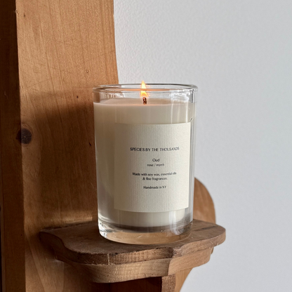 Oud, Rose + Myrrh Candle | 8oz