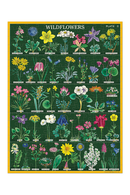 Wildflowers | 240 Piece Puzzle