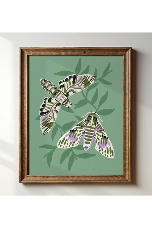 Hawk Moths Art Print | 8" x 10"