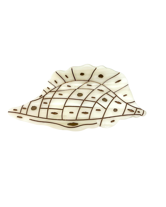 Seashell Hair Claw | Polka Dot Conus