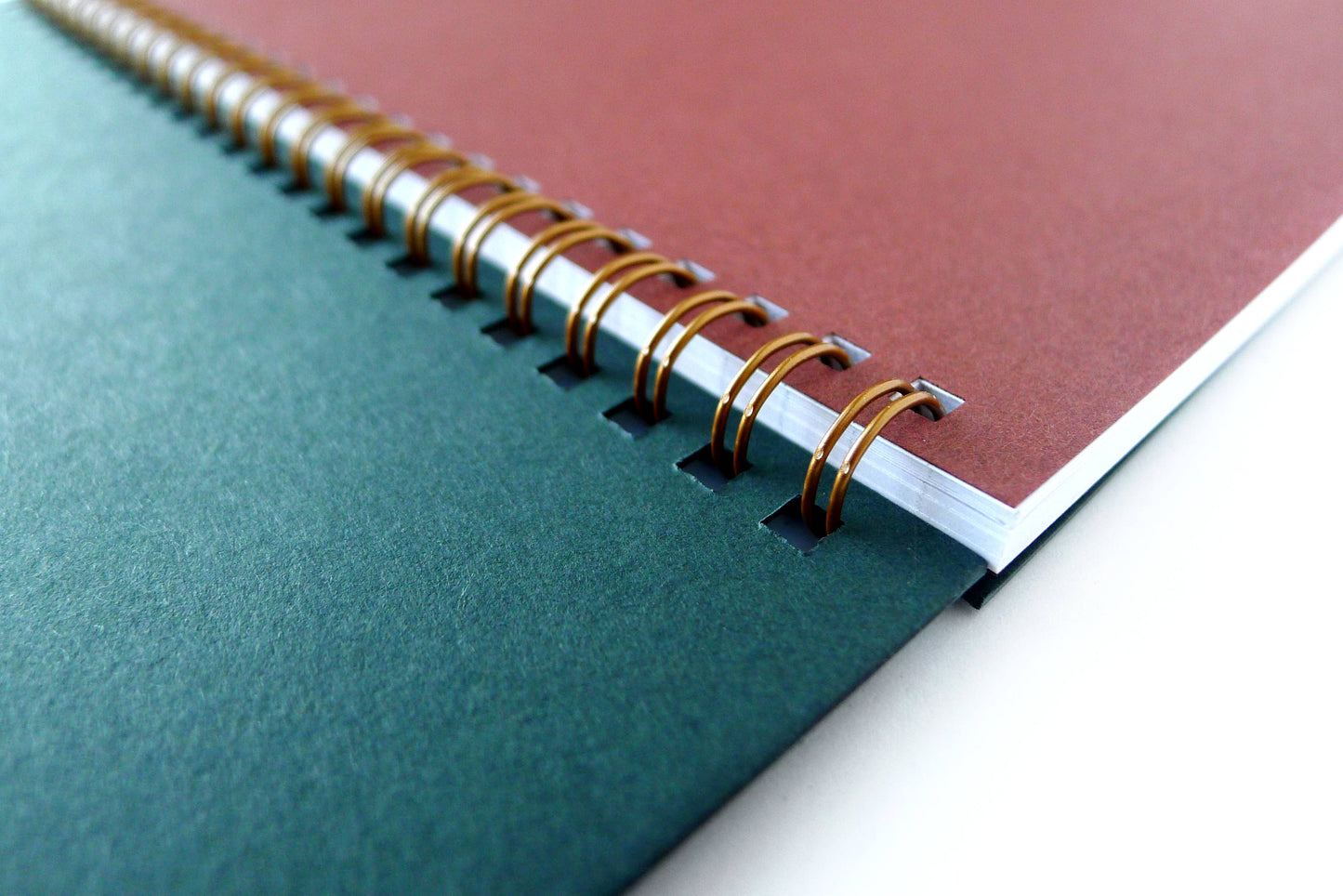 Harvest Rabbits Coil Notebook | Blank