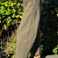 Arc Pants | Olive