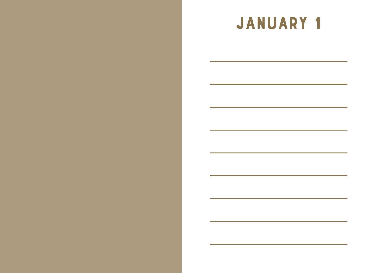 Mini One Line a Day | Rose Velvet