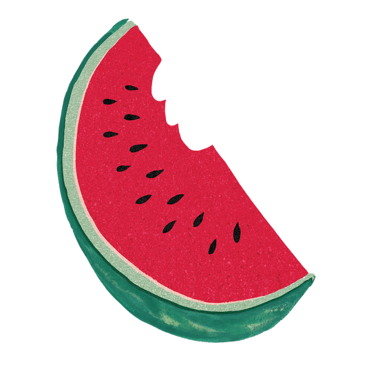Watermelon Slice Sticker