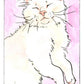 Kitten Oracle: 50 Cards & Guidebook
