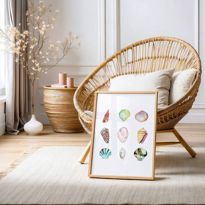 Shell Collection Print | 8 x 10