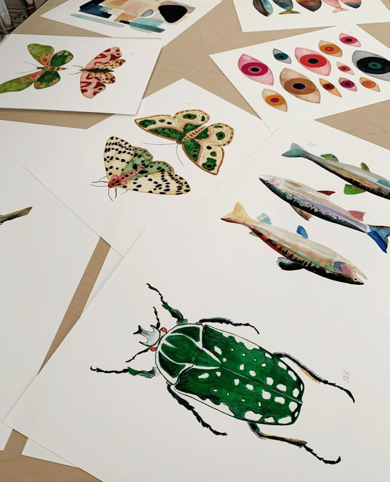 Moths No. 2 Print | 8 x 10