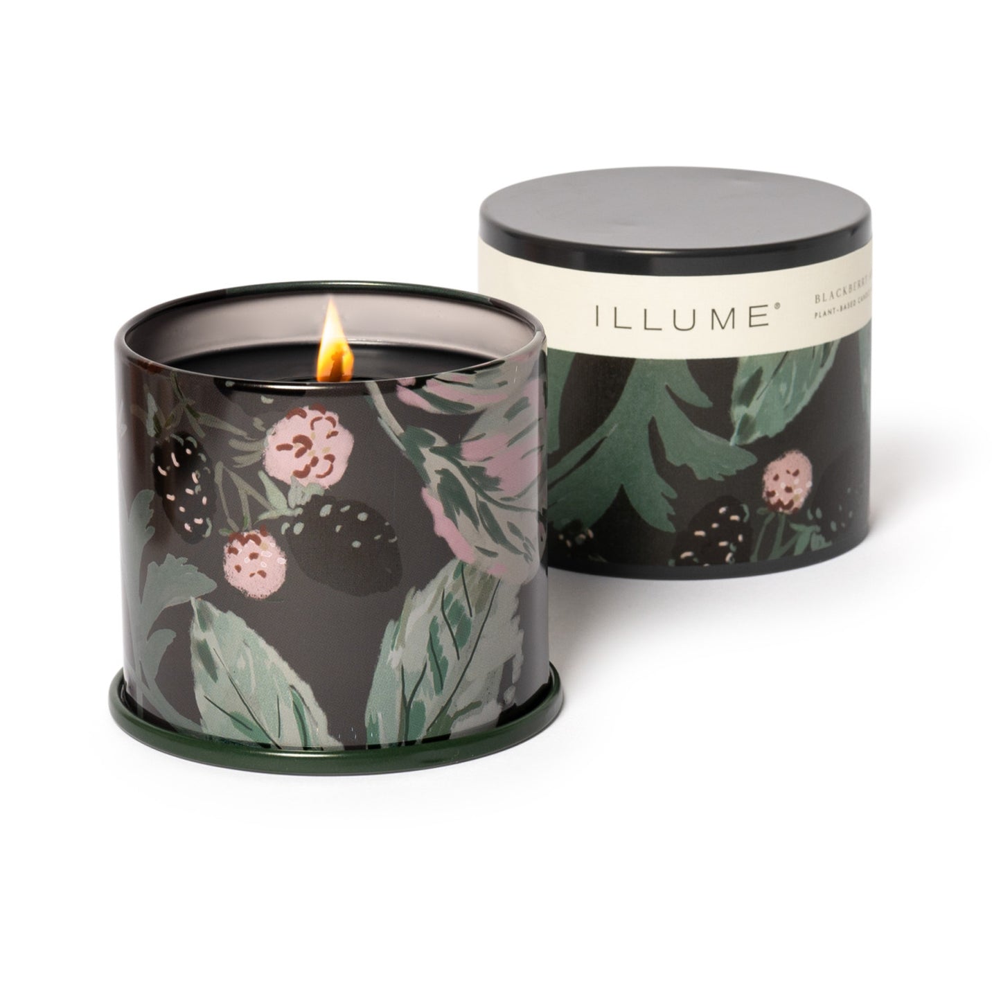 Blackberry Absinthe Tin Candle | Vanity 11.8oz