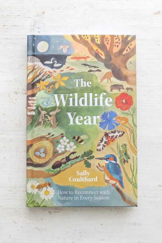 Wildlife Year: How to Reconnect with Nature Through the Seasons