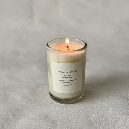 Rose Otto, Palo Santo + Grass Candle | 8oz