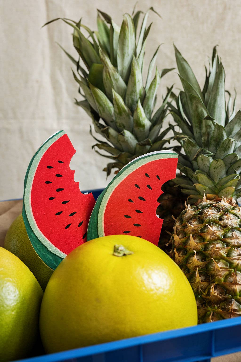 Watermelon Die Cut Card