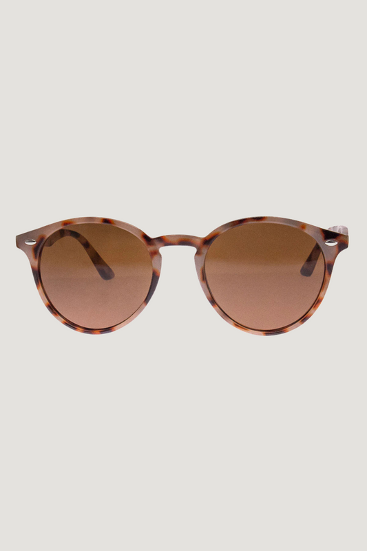 Pointdexter Sunnies | Light Tortoise