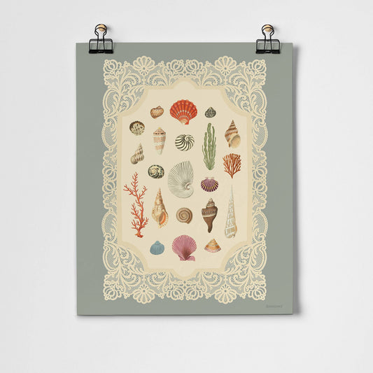Specimens of the Sea Art Print | 11 x 14