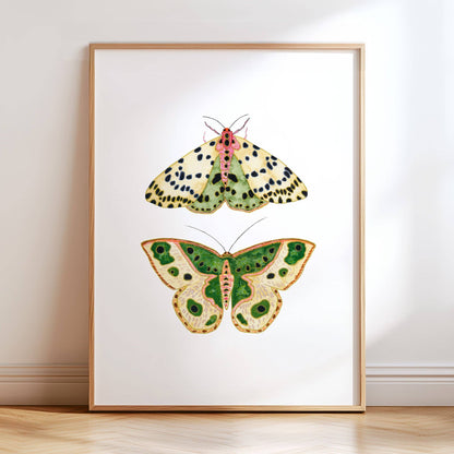 Moths No. 2 Print | 8 x 10