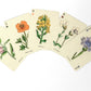 Wildflowers Playing Card Deck