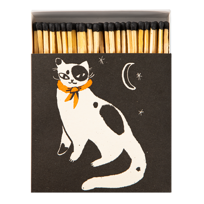 Box of Matches | Black Spotted Kitten
