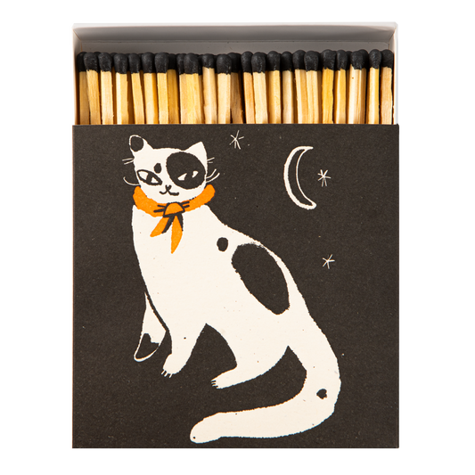 Box of Matches | Black Spotted Kitten
