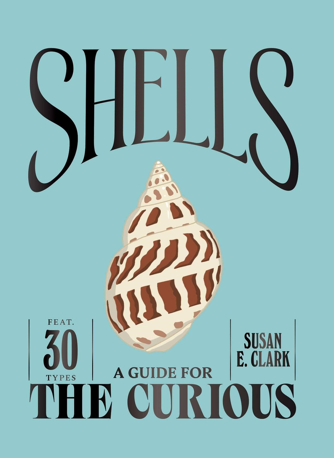 Shells: A Guide for the Curious