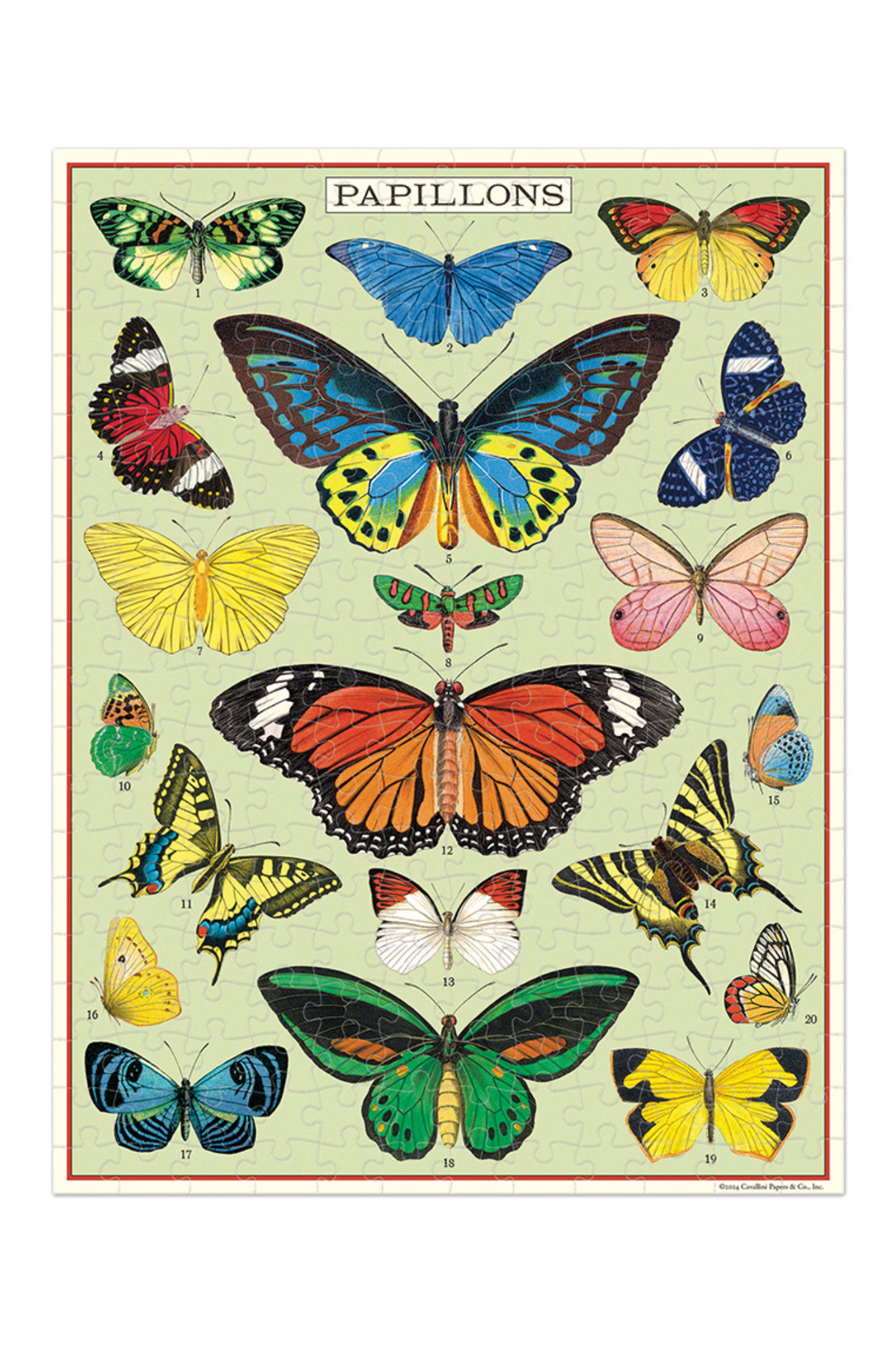 Butterflies | 240 Piece Puzzle