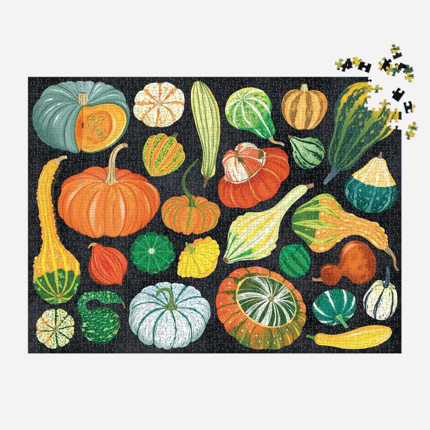 World of Pumpkins | 1000 Piece Puzzle