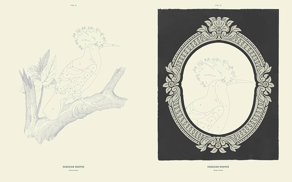 Coloready Birds: 20 Modern Paint-by-Number Prints