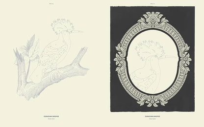 Coloready Birds: 20 Modern Paint-by-Number Prints