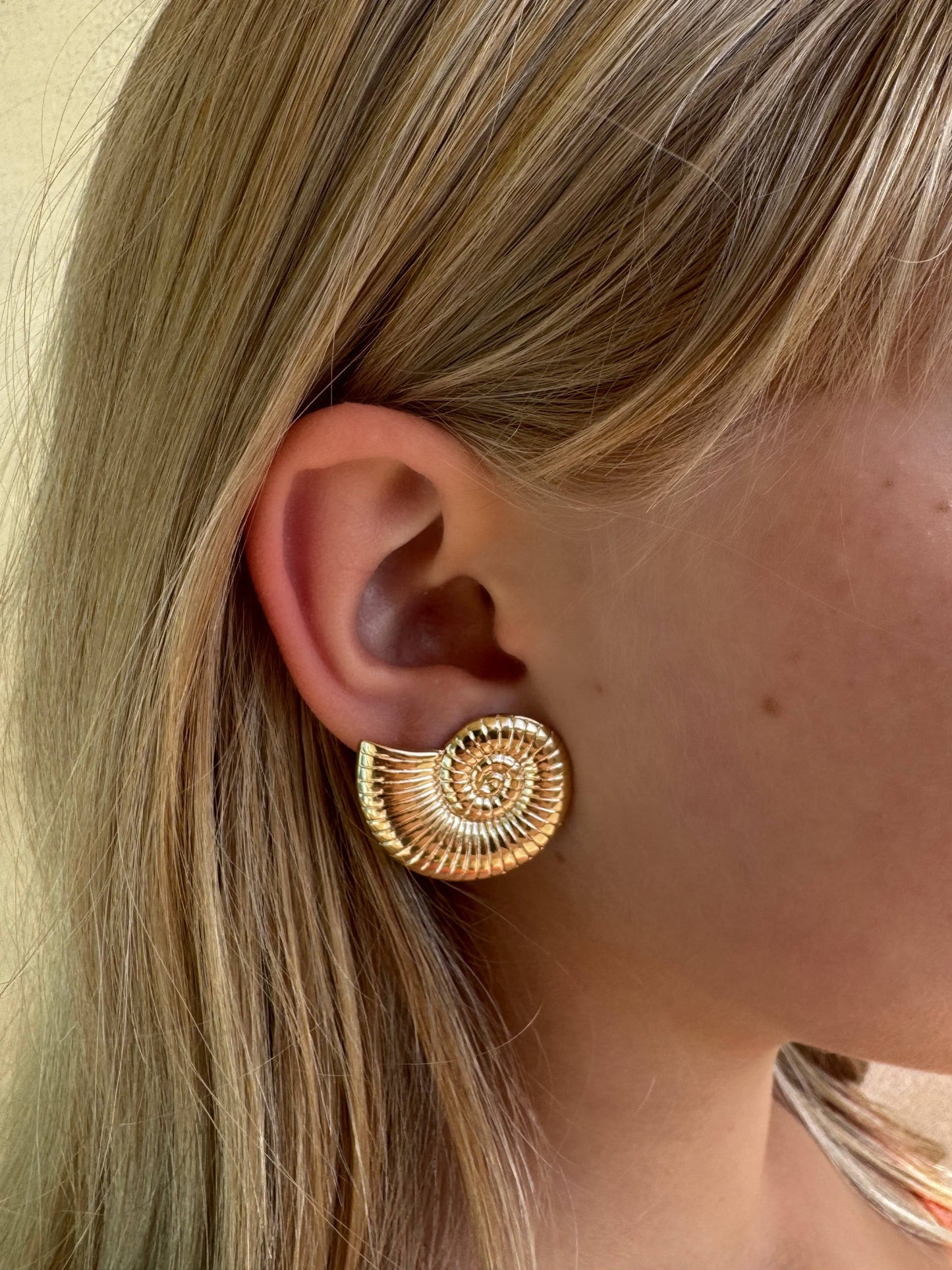 Athena Shell Stud Earrings | Small