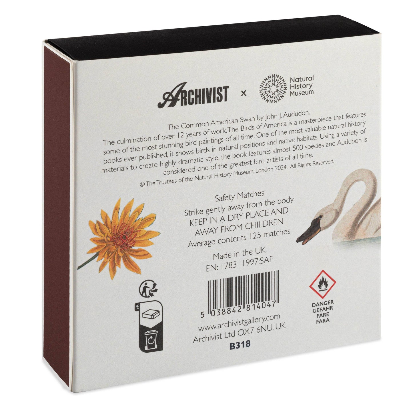 The Common American Swan  | Square Matches