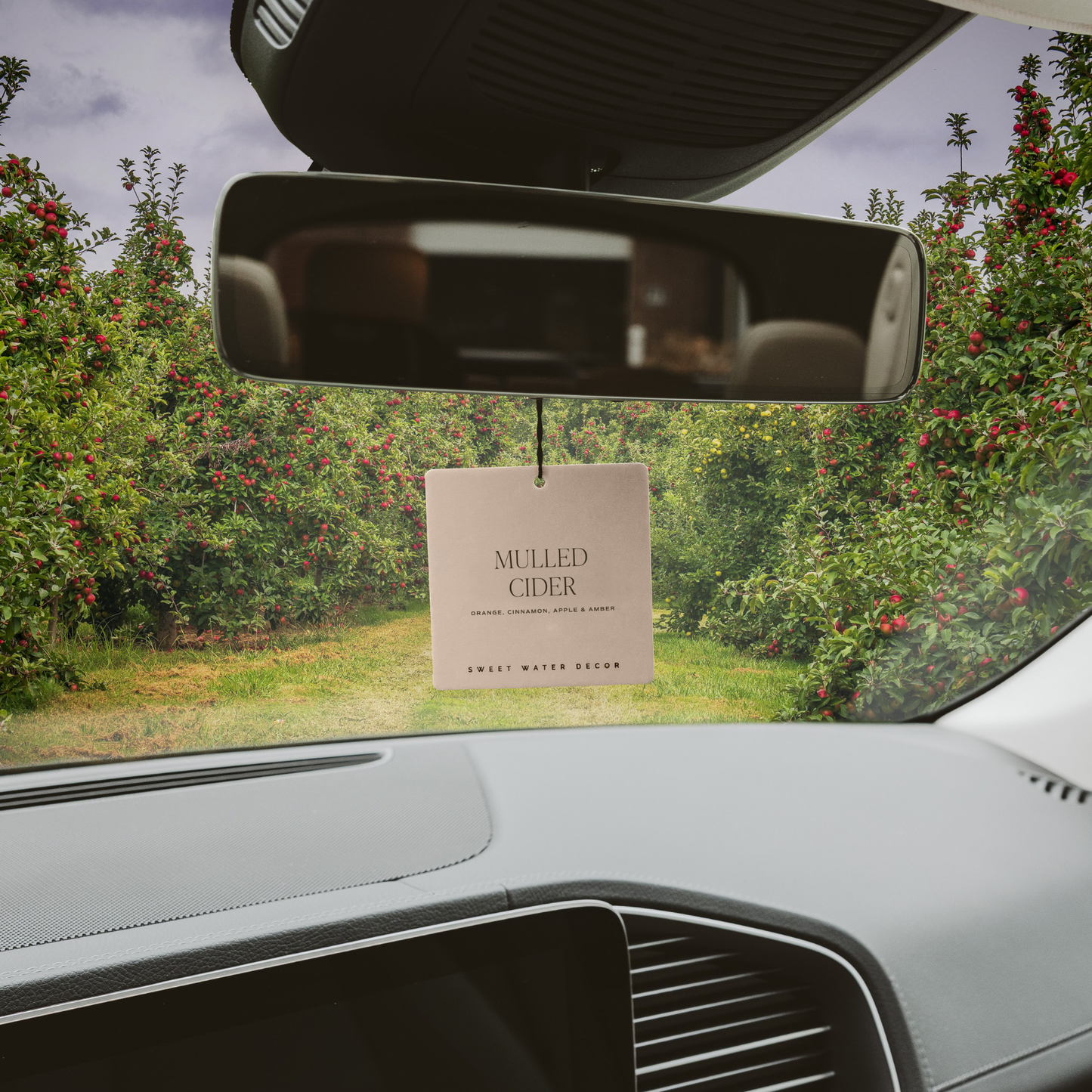 Mulled Cider Air Freshenerr