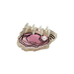 Mini Oyster Hair Claw