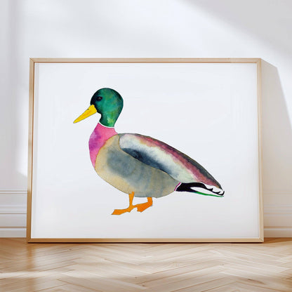 Mallard Print | 8 x 10