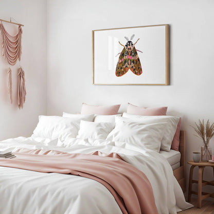 Moth No. 3 Print | 8 x 10