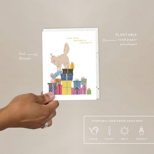 Purr-fect Presents Birthday Card