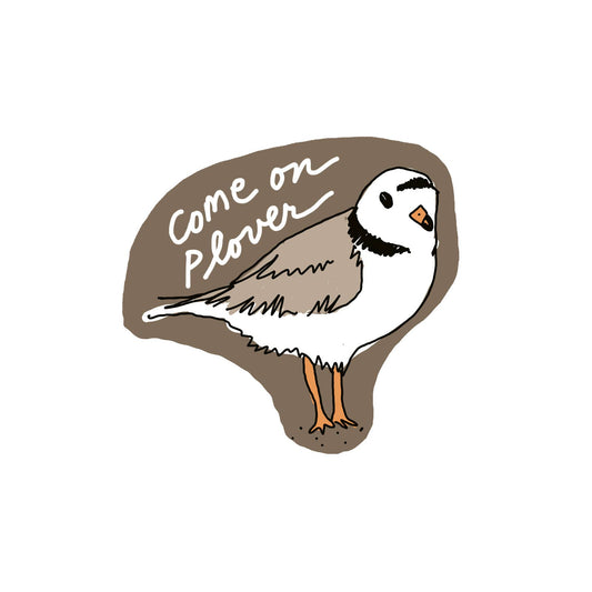 Piping Plover Sticker