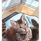 Kitten Oracle: 50 Cards & Guidebook