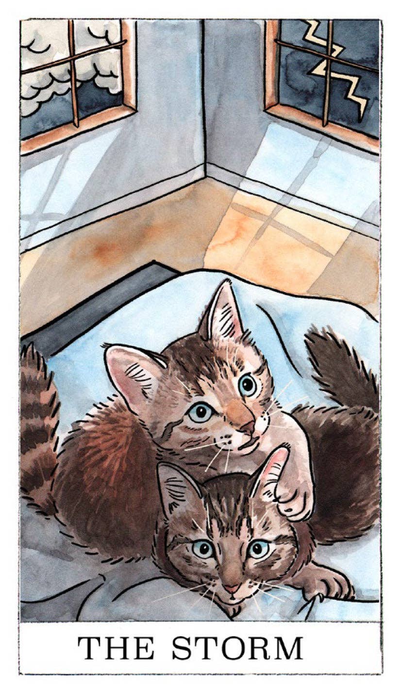 Kitten Oracle: 50 Cards & Guidebook