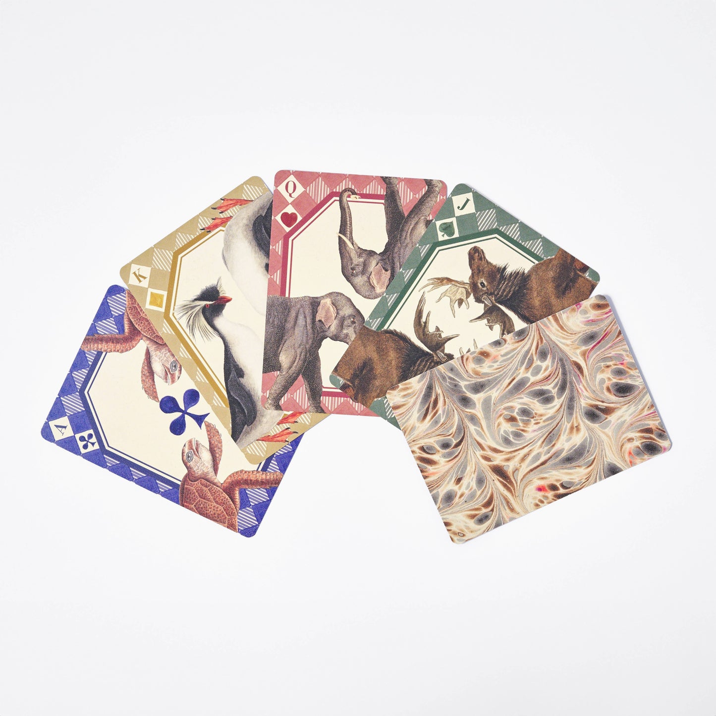 Animal Kingdom Playing Card Deck