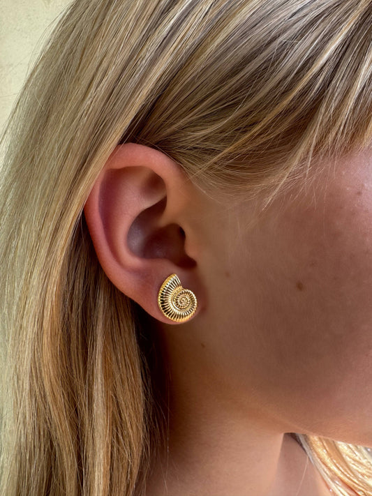 Athena Shell Stud Earrings | Small