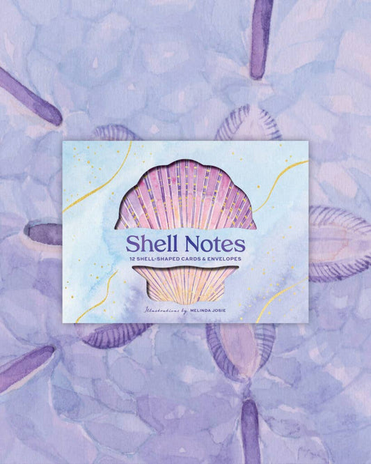 Shell Notes | 12 Cards + Envelopes