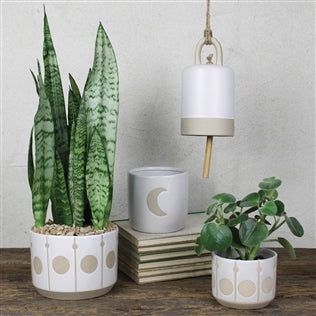 Circle Cachepot | Large