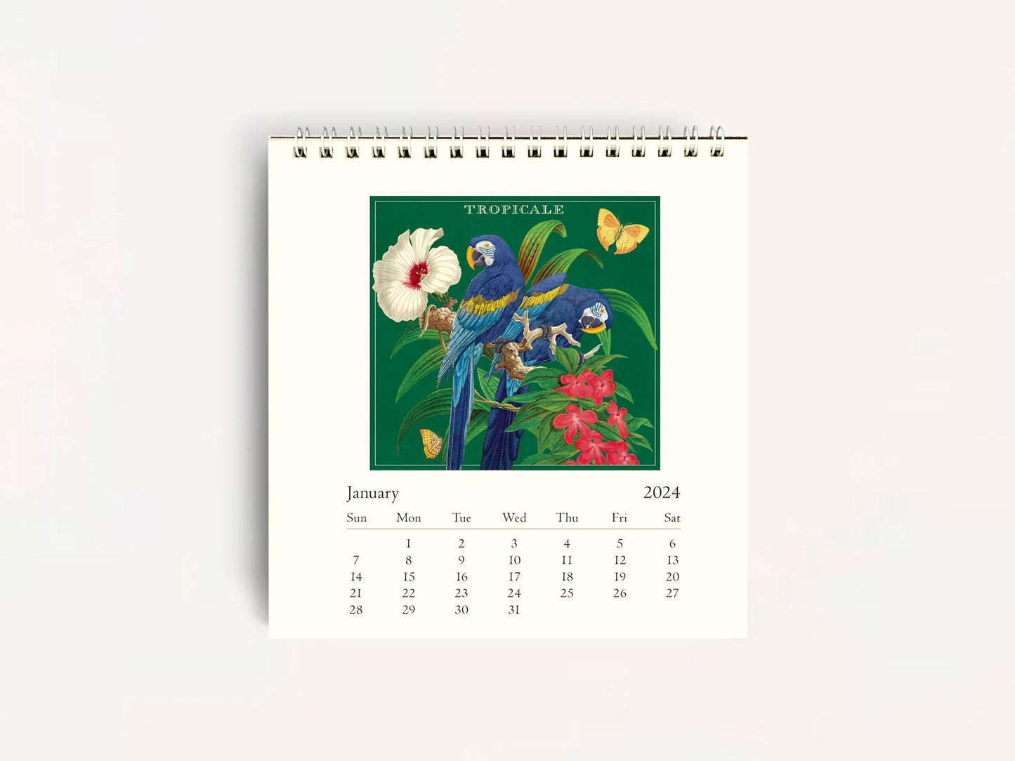 Tropicale Desk Calendar 2024
