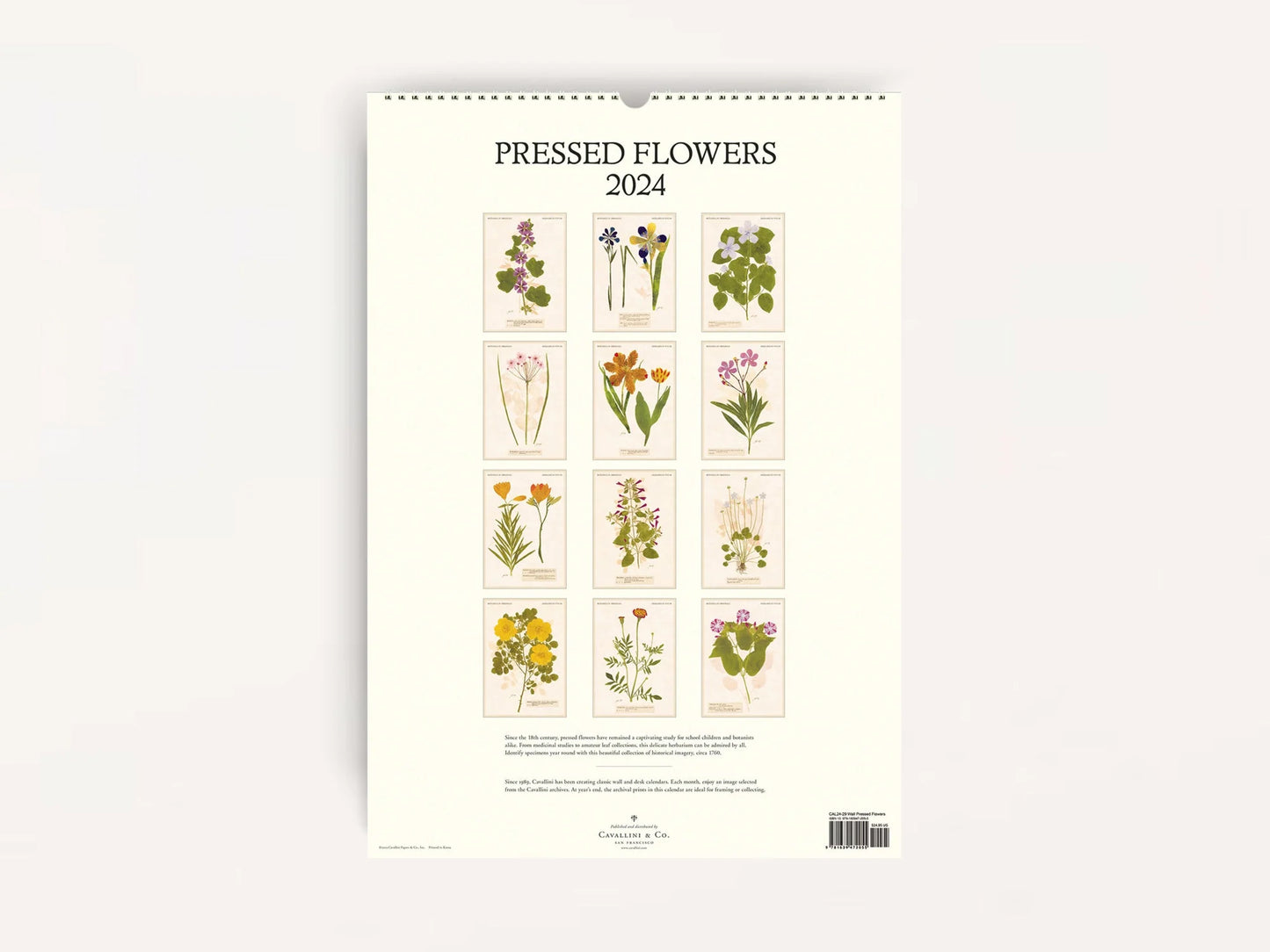 Pressed Flowers Wall Calendar 2024
