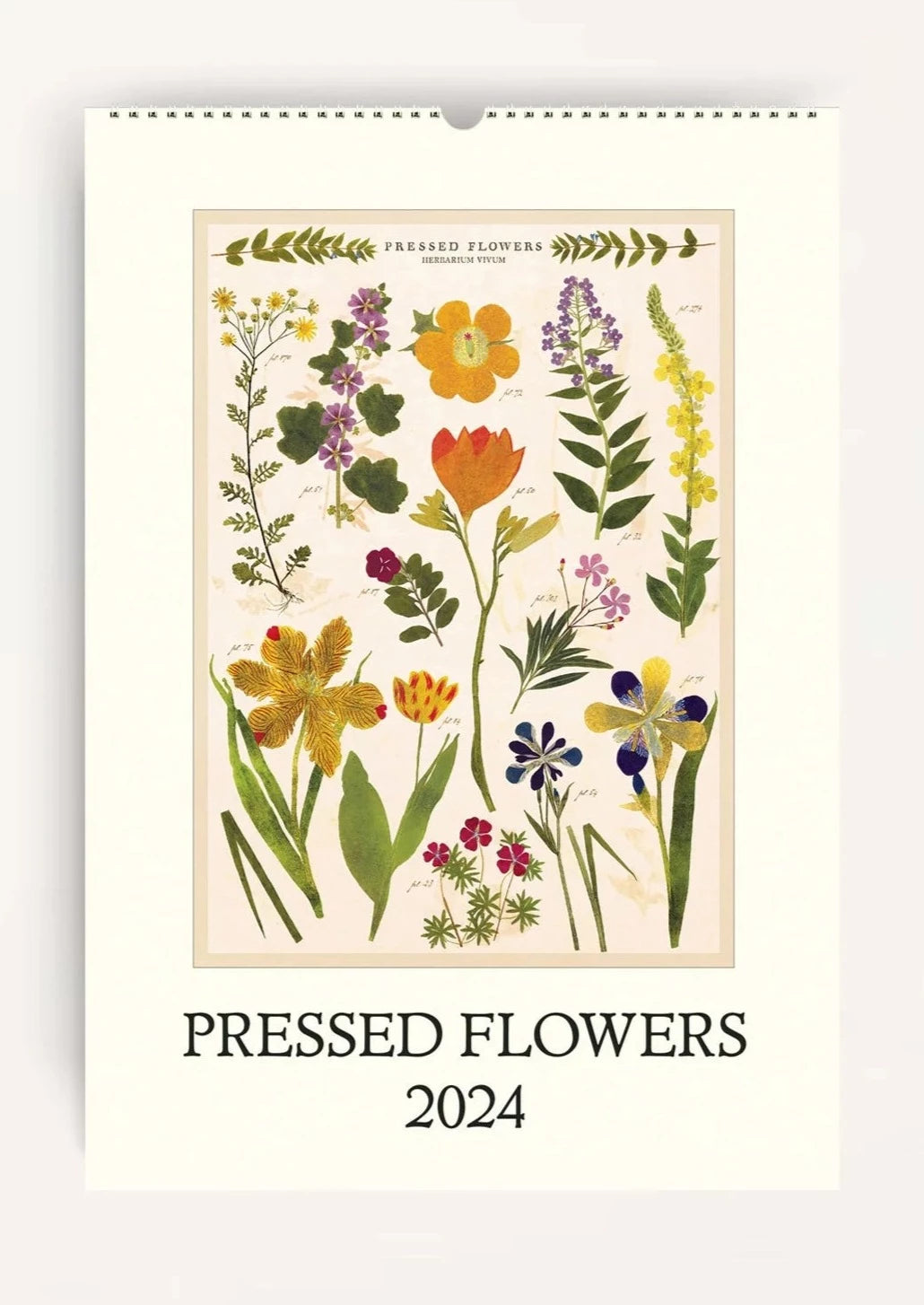 Pressed Flowers Wall Calendar 2024