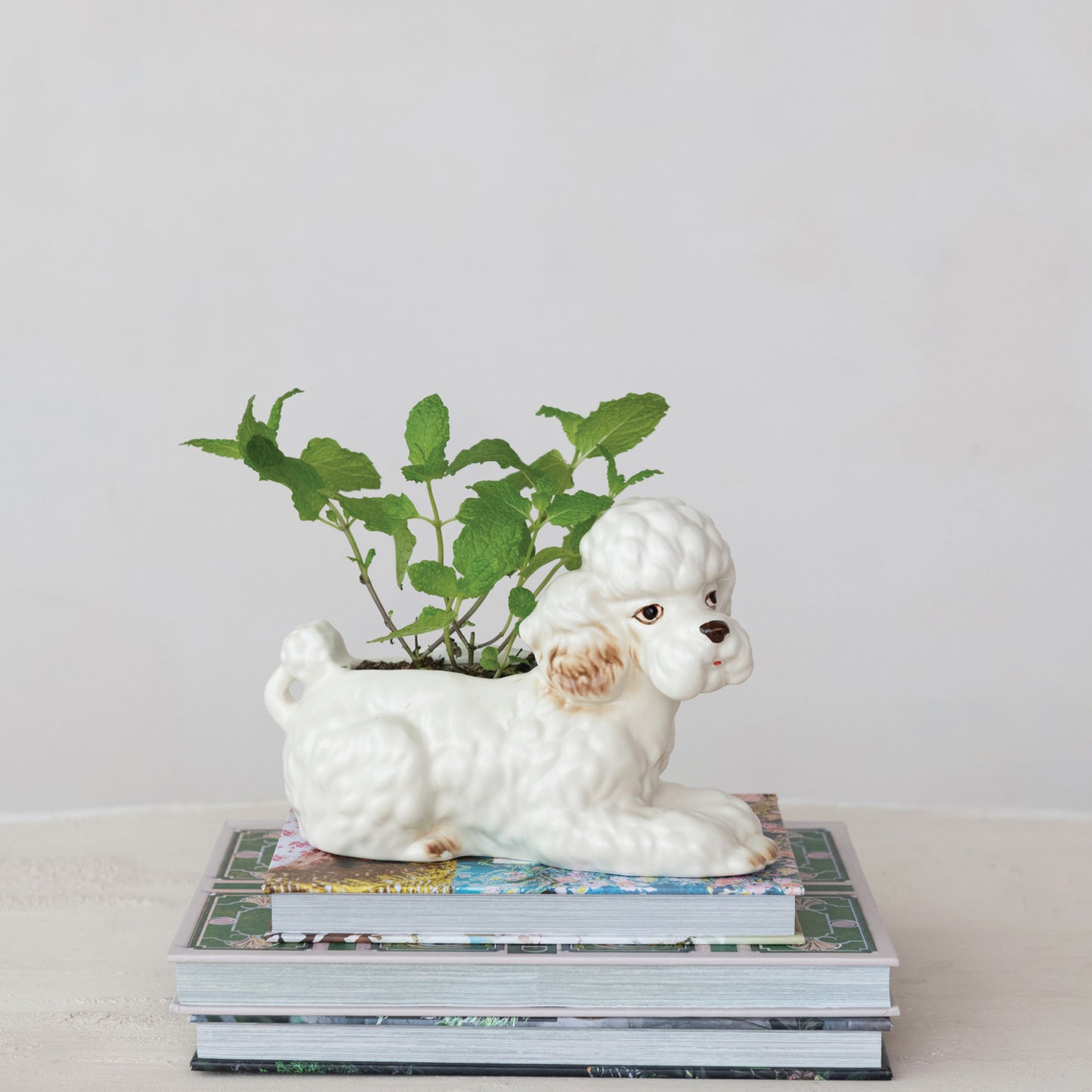 Poodle Planter