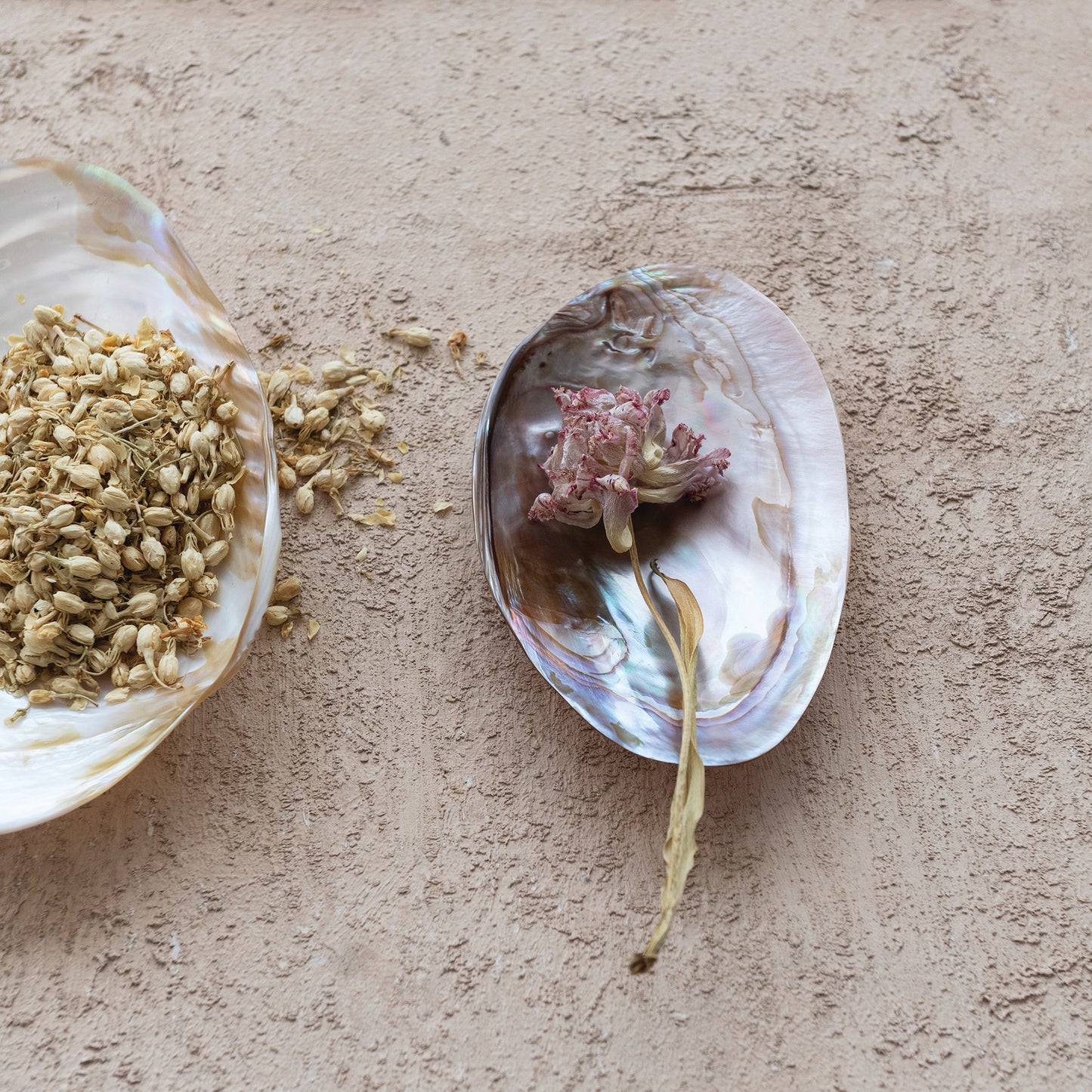 Natural Shell Footed Tray | Small