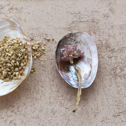 Natural Shell Footed Tray | Small