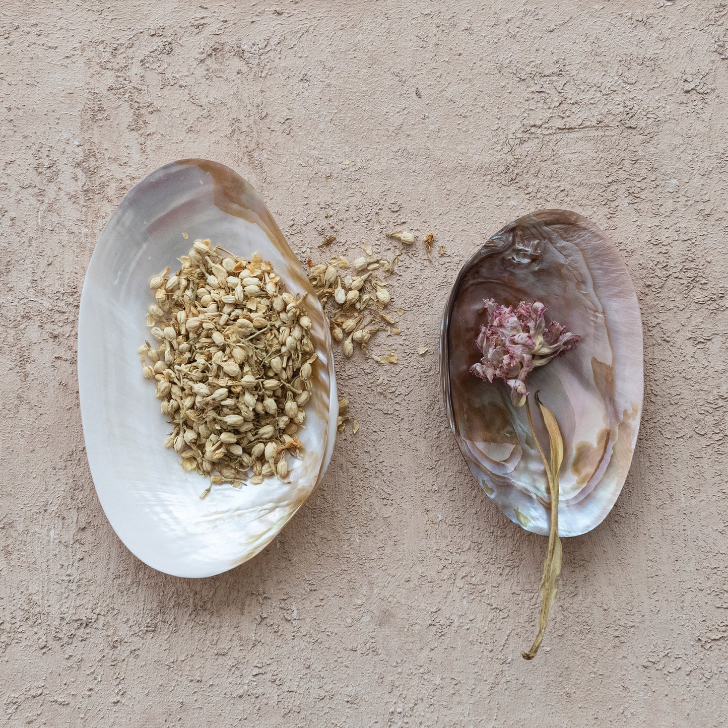 Natural Shell Footed Tray | Small