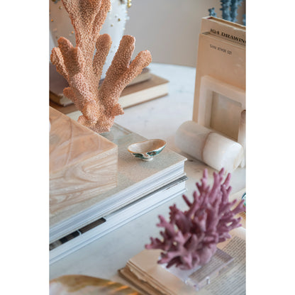 Natural Shell Footed Dish